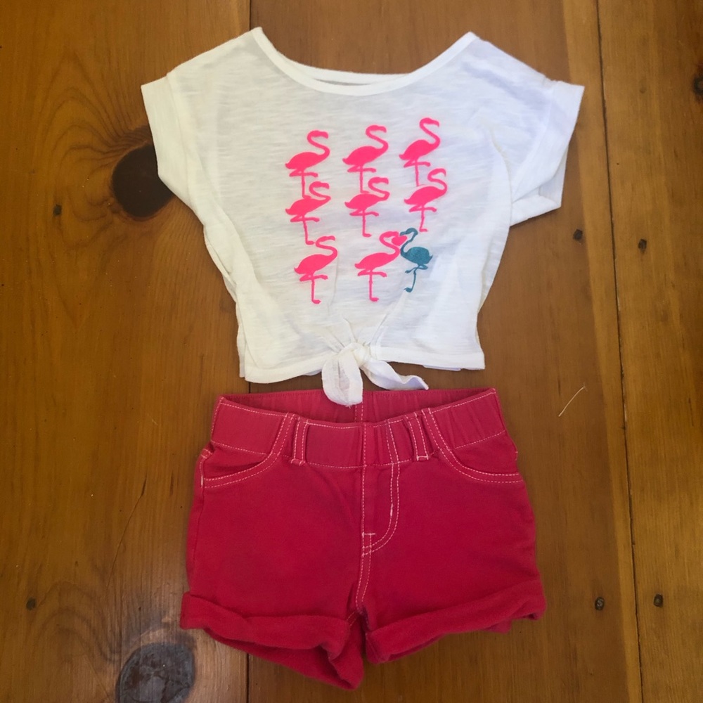 Flamingo top and Pink shorts